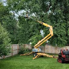 Best Tree Planting  in Pajaro, CA