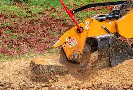 Best Tree Mulching  in Pajaro, CA